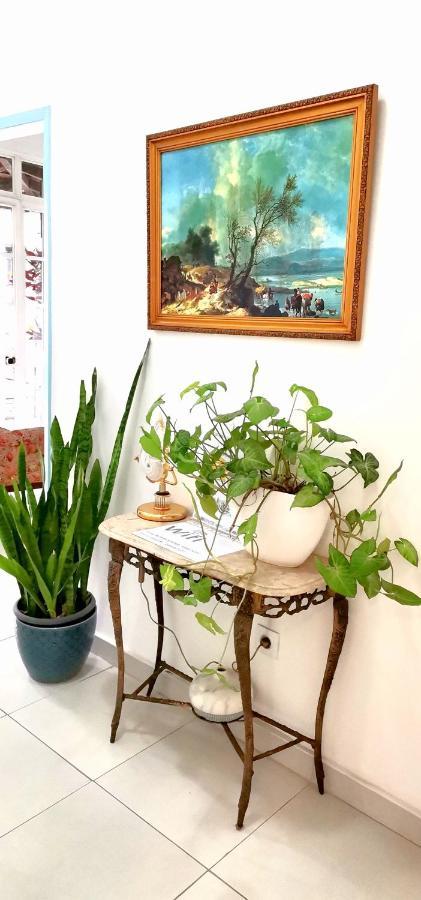 Home & Flower - Private Bedrooms Funchal Esterno foto