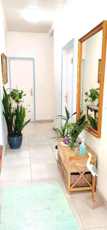 Home & Flower - Private Bedrooms Funchal Esterno foto